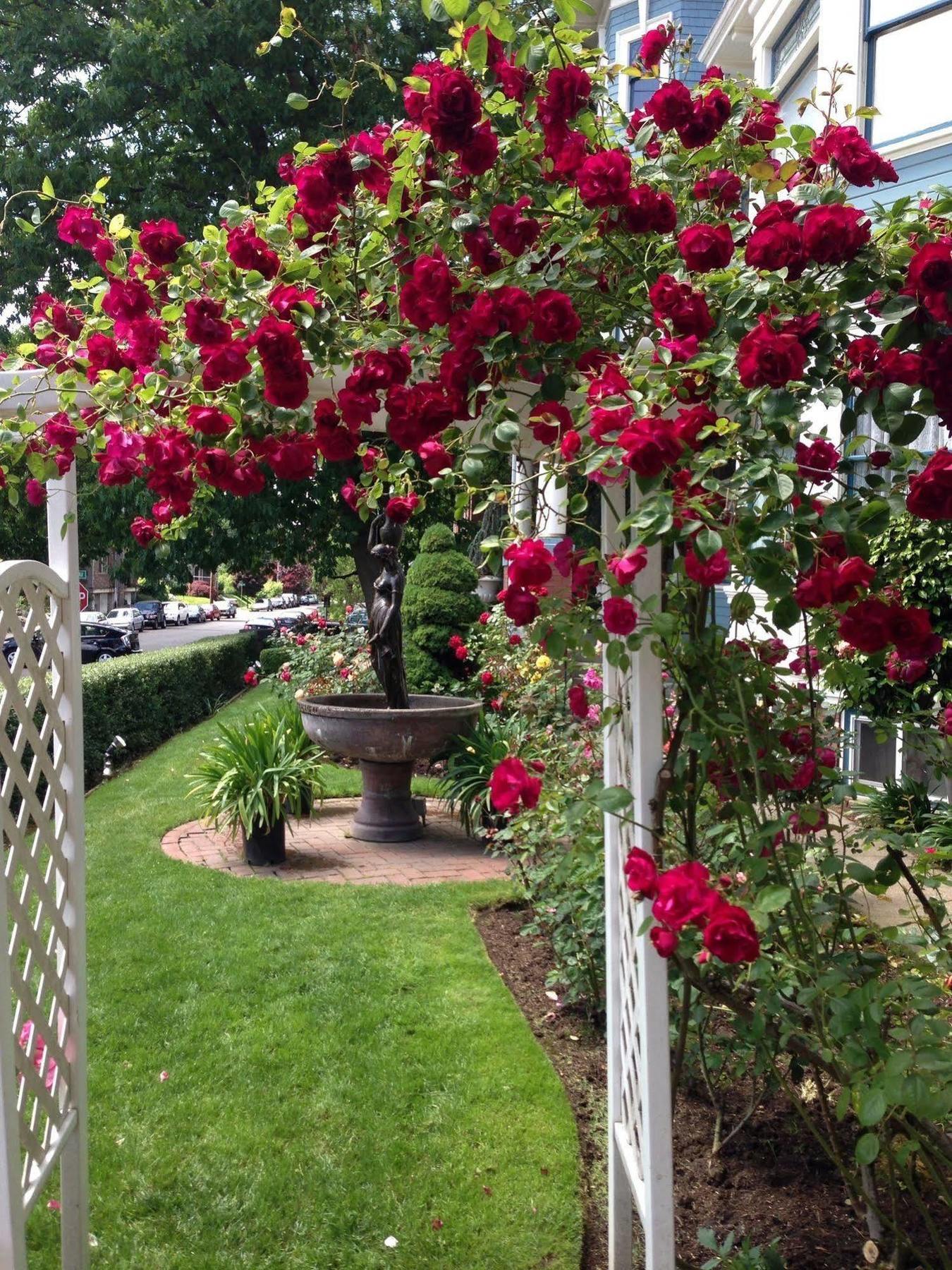Lion And The Rose Victorian Guest House Portland Eksteriør bilde