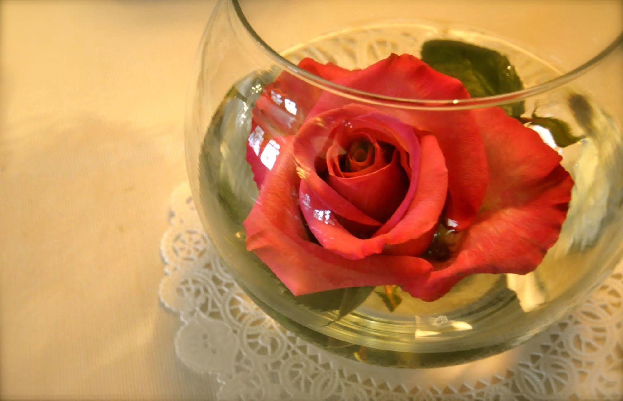 Lion And The Rose Victorian Guest House Portland Eksteriør bilde